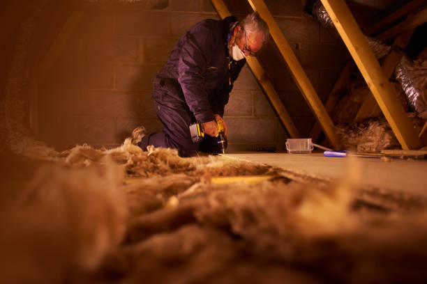 Types of Insulation We Offer in WY